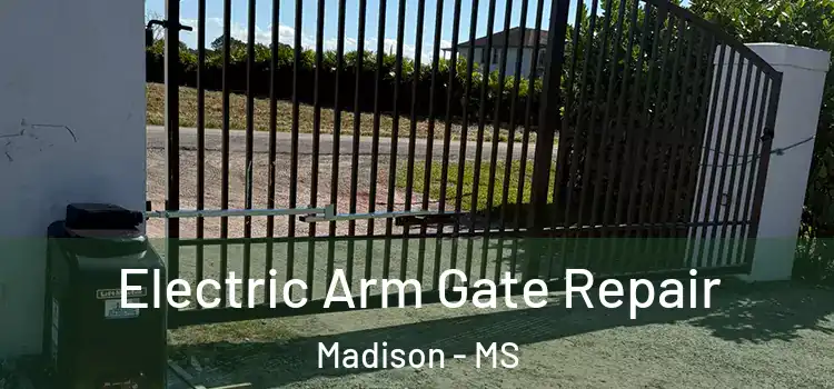 Electric Arm Gate Repair Madison - MS