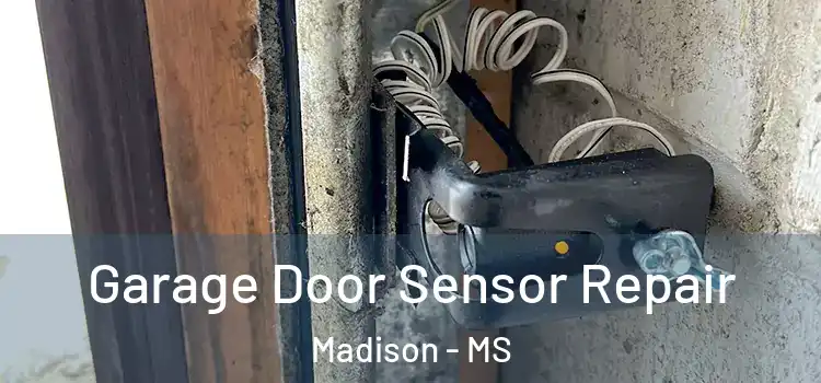 Garage Door Sensor Repair Madison - MS