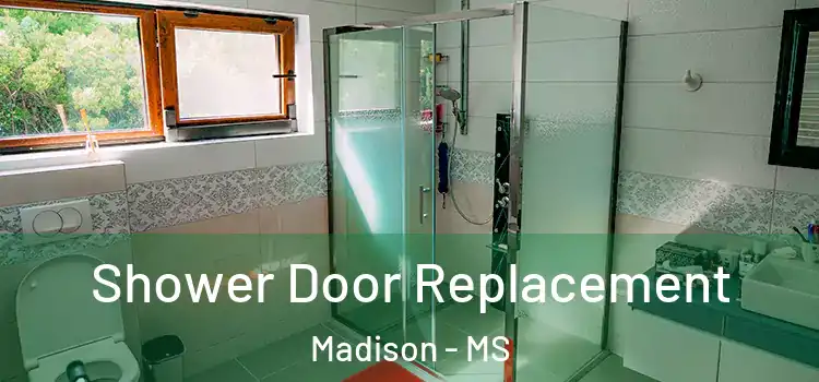 Shower Door Replacement Madison - MS